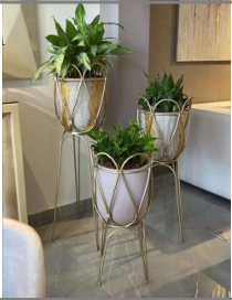 Beautiful Elegant Planter